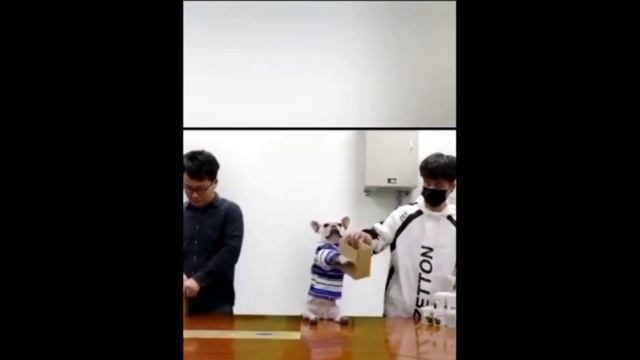 Dexp U55E9000Q подсветка, уменьшить ток. MainBoard: HK.T.RT2871P838 уменьшить ток подсветки. смотреть онлайн