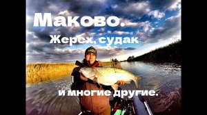 Астрахань, Маково. Жерех, судак и многие другие.
