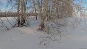 ОХОТА НА ЗАЙЦА или КРИВЫЕ руки.#охотаназайца#заяц#отдых