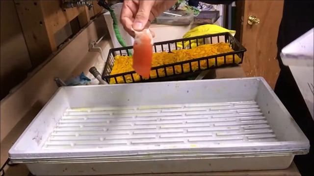 Eric's Batik Process смотреть онлайн