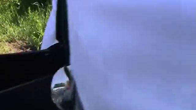 Замятина Наталья - Съедобные садовые и дикорастущие растения