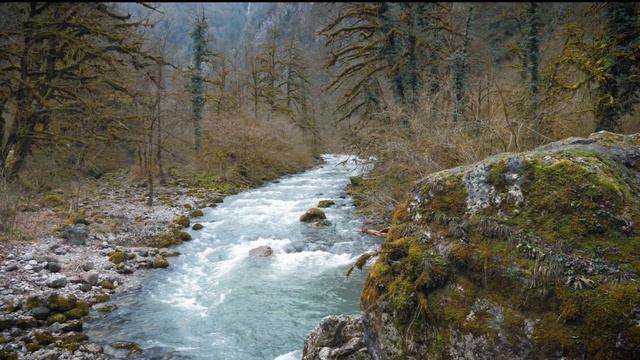 Relaxation Music, Chakra, Relaxing Flute Music for Stress Relief. смотреть онлайн