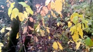 пробуем поймать на мармышенг.mp4