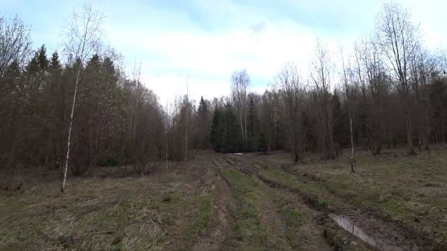 НАШЁЛ СЕРЕБРЯНЫЕ МОНЕТЫ  В ЗАБРОШЕННОЙ  ДЕРЕВНЕ / ОБРАТНАЯ ДОРОГА /ТАК ИДУ РАССУЖДАЮ /ЧАСТЬ ВТОРАЯ