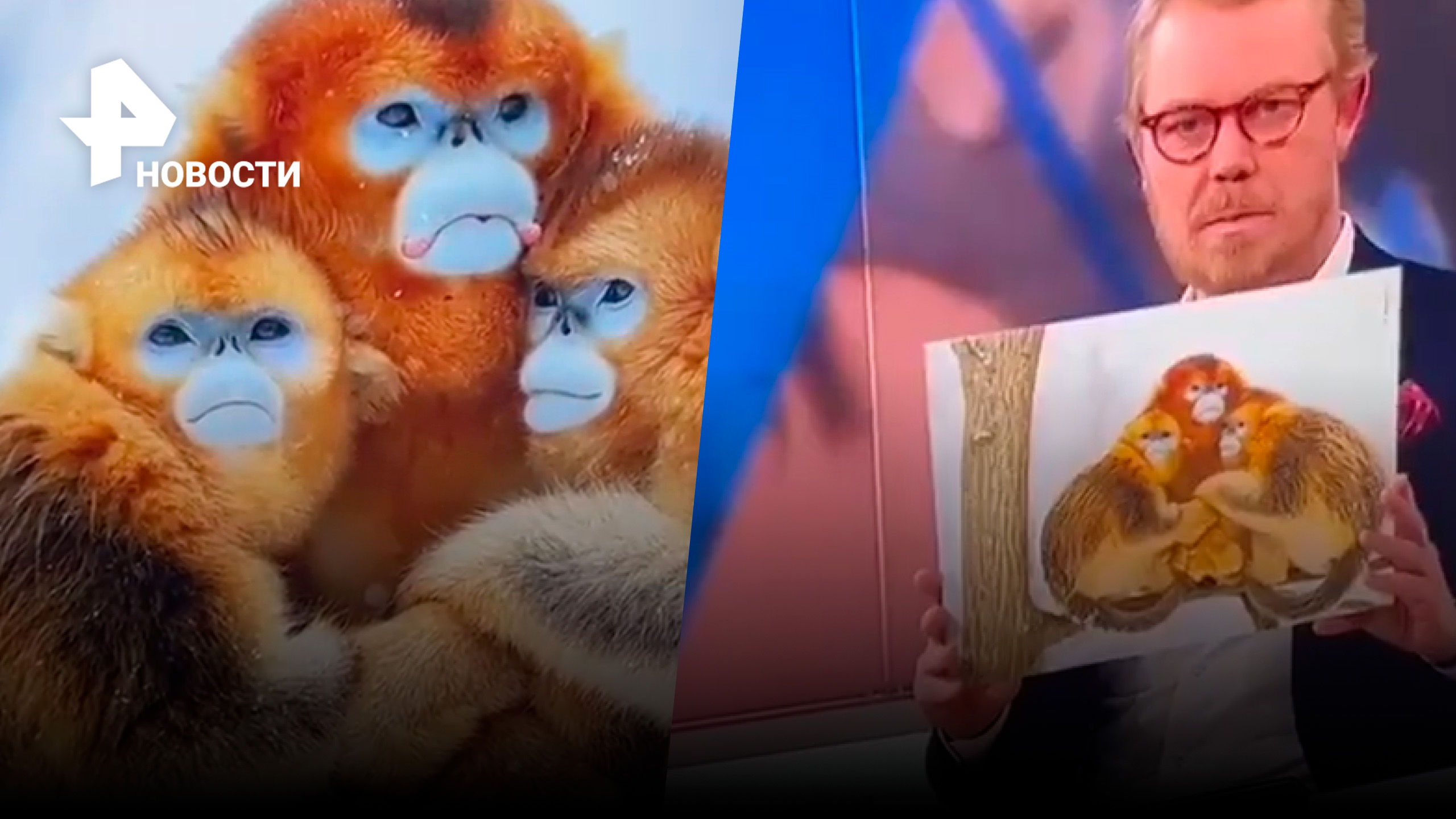 Ведущий новостей на датском телевидении сравнил марокканских футболистов с семьей обезьян
