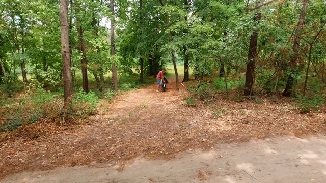 Сколько можно заработать на сборе алюминиевых банок ? смотреть онлайн