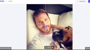 Сервис PicWish