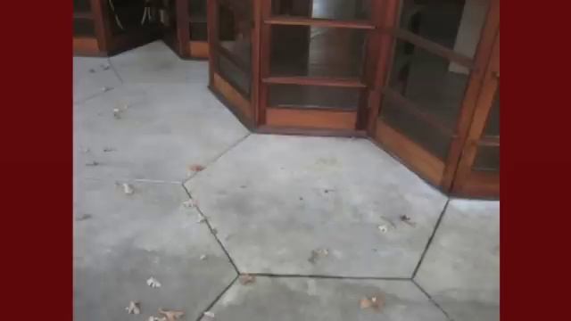 Dennis Domer - Frank Lloyd Wright's Search for Organic Simplicity - October 11, 2012 смотреть онлайн