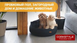 Пробковый пол Corkstyle плюсы и минусы для дома. Видео отзыв. Укладка в кухне