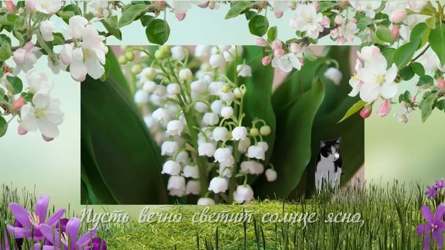 Поздравляю Вас с ВЕСНОЙ! смотреть онлайн