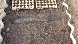 Посадка редиски в теплице