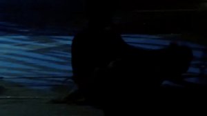 Рейстлин, залезай в шкаф стеклянный!