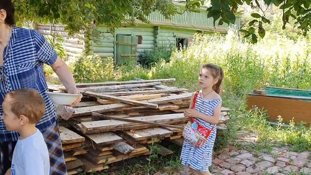 Престольный праздник в храме. Поменялись планы. Наши цыплятки выросли.