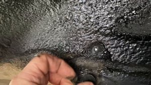 09-09-2024 Аникор .рф рукожопы