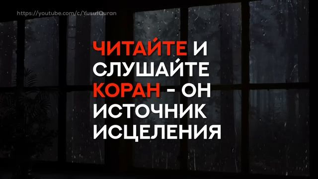Прекрасное чтение Корана / Махди аш-Шишани