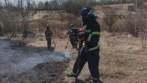 К чему приводит пал травы