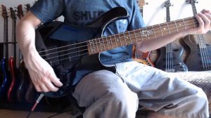 Review bajo cort T74 Groover Instrumentos