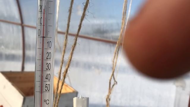 Облёт пчел в теплице. смотреть онлайн