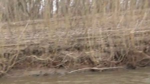 подвесной водомет кальмар с двигателем от HONDA