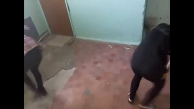 МЫ ТИПА ГРИБЫ смотреть онлайн