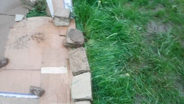 Цветник на картоне.Когда нет земли. смотреть онлайн