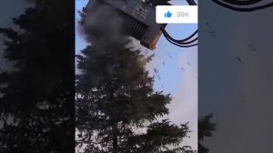 До чего техника дошла😱 #сельхозмашины #техника