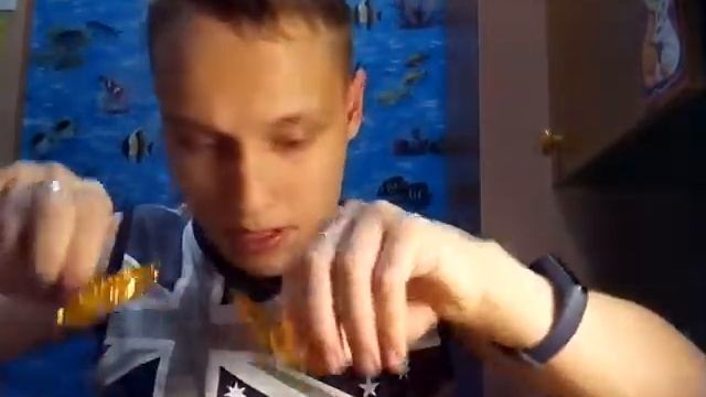 Форменная шапка-ушанка и кокарды для головных уборов в гражданской авиации