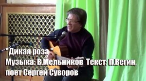 ''Дикая роза '' Музыка: В.Мельников Текст: П.Вегин, поет Сергей Суворов, Обнинская нота"