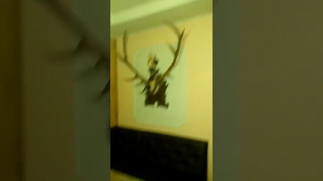 Творческий эко ● Дом ✧ВМЕСТЕ✧??? наша *баня на дровах на природе* (с.Родниковое) смотреть онлайн