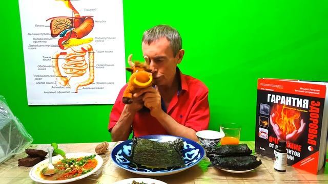 КАК МОЛОДЕТЬ С КАЖДЫМ ДНЕМ ВСЁ БОЛЬШЕ! КАК СОЗДАТЬ МОЛОДУЮ, СИЛЬНУЮ КРОВЬ! смотреть онлайн