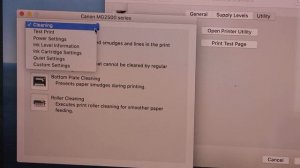 Canon Printer Black Ink Only Setting - Canon Pixma MG2500 Series Printer.
