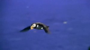 #СатьяСаиБабаГОВОРИТ Саи Баба говорит с Западом часть 4 (RUS)