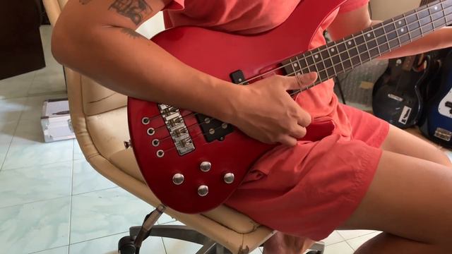 Chatting Bird Bass Guitar | DEMO T.Hunter Shop PH смотреть онлайн