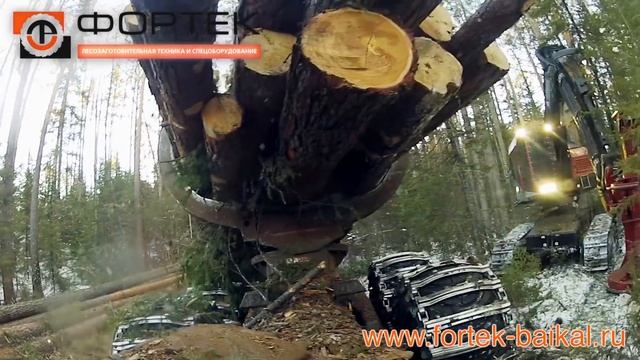 TimberPro валочный комплекс в Иркутской области