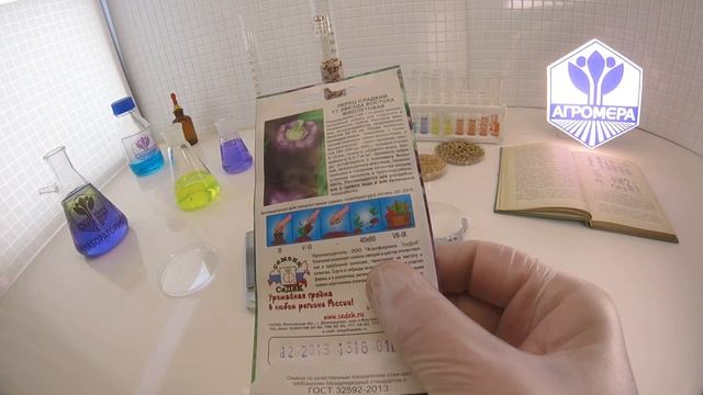 Перец сладкий Звезда Востока Фиолетовая F1. СеДеК смотреть онлайн