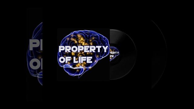 Property of Life by 4MHZ MUSIC