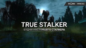 S.T.A.L.K.E.R - True Stalker игра за Журавлева часть 2