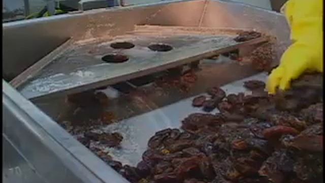 Urschel Model LA нарезка чернослива и сухофруктов. смотреть онлайн