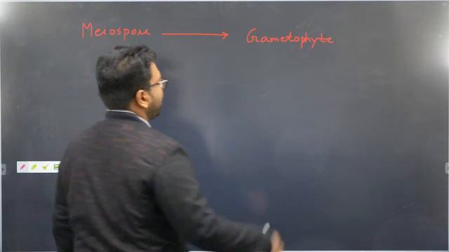 Plant Kingdom Class 11 L6  Pteridophytes  NEET 2022 Preparation  NEET Biology  Dr.Saurav Sir