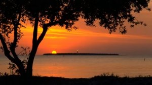 Состояние наблюдателя