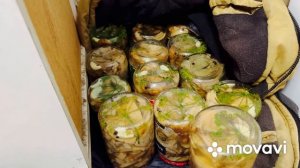 Утро в деревне. ИЗ ГОРОДА В ДЕРЕВНЮ ПЕРЕЗАГРУЗКА.