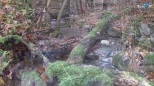 НЕРЕСТ КУМЖИ / SEATROUT SPAWNING Vol. 3 (Salmon protection)