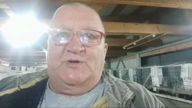 ?Ниппельное поение кроликов зимой Возможно ли? Субботняя консультация в ПРЯМОМ эфире #Макляк #Макро смотреть онлайн