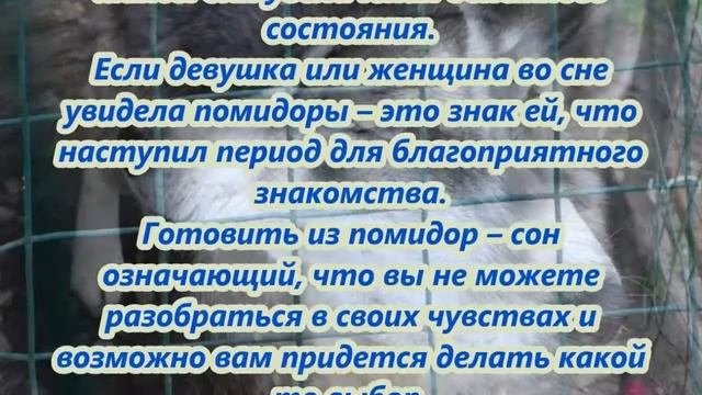 К чему снятся помидоры
