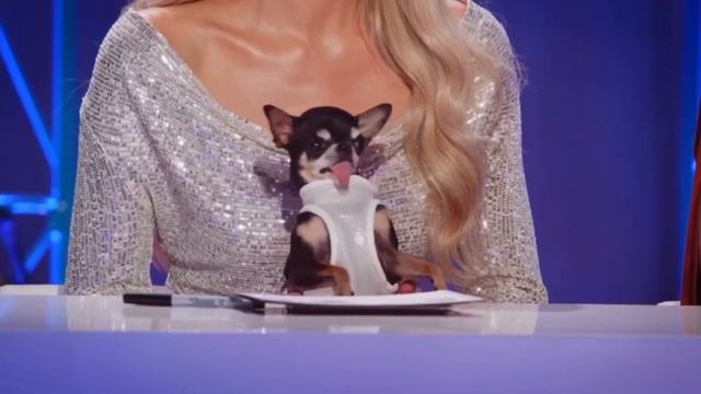 JAMES CHARLES - CUT PERIOD (ft. Paris Hilton’s dog) #jamescharles #parishilton #instantinfluencer смотреть онлайн