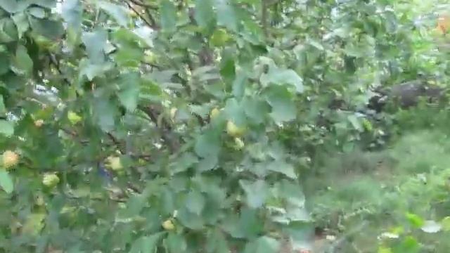 Вектор Экранное смотреть онлайн