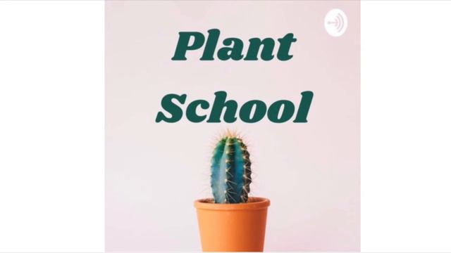 Succulent/Cactus Care Guide | Plant School Podcast Ep. 13 смотреть онлайн