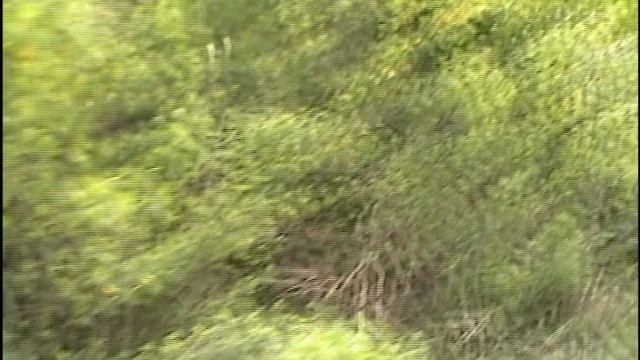 Поездка на Алтай на Land Cruiser 60 в 2009 году. смотреть онлайн