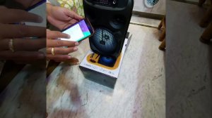 Modernista Sound Box 100 Wireless Bluetooth Speaker 20W with Wired Karaoke Mic/FM/Aux