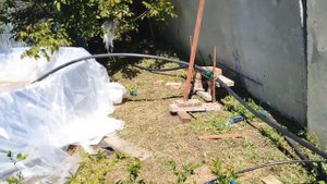 Капельный полив на голубике